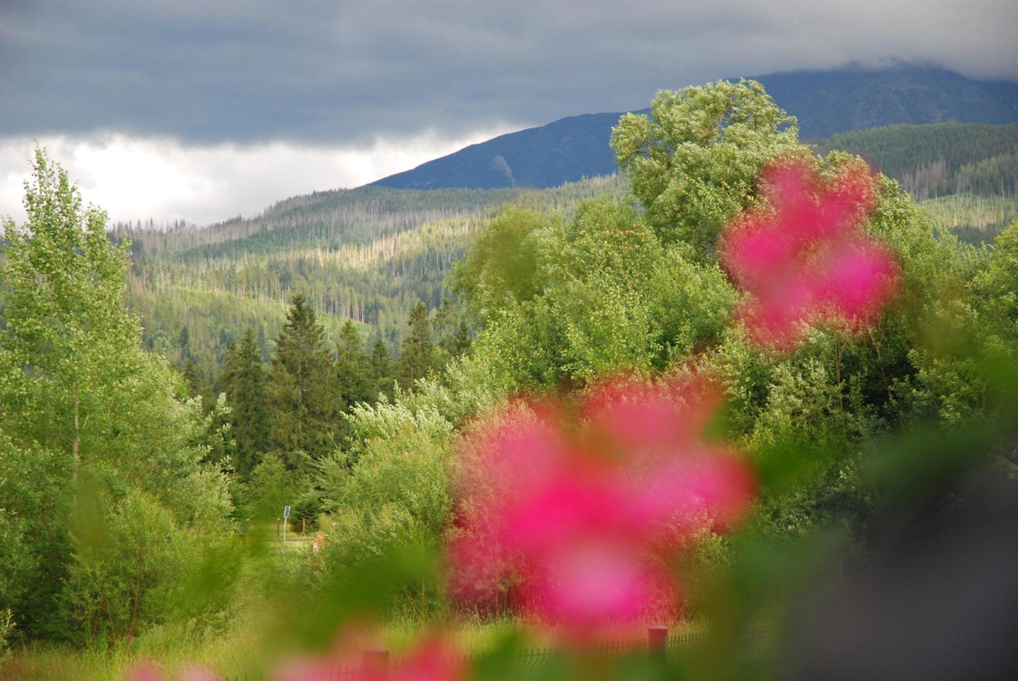Bed and Breakfast "Czarna Turnia "Zakopane Exterior foto